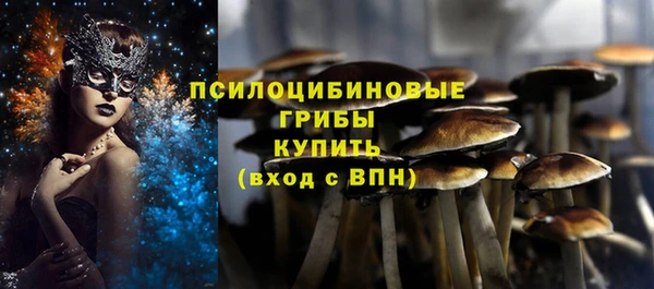 ПСИЛОЦИБИНОВЫЕ ГРИБЫ Алексеевка