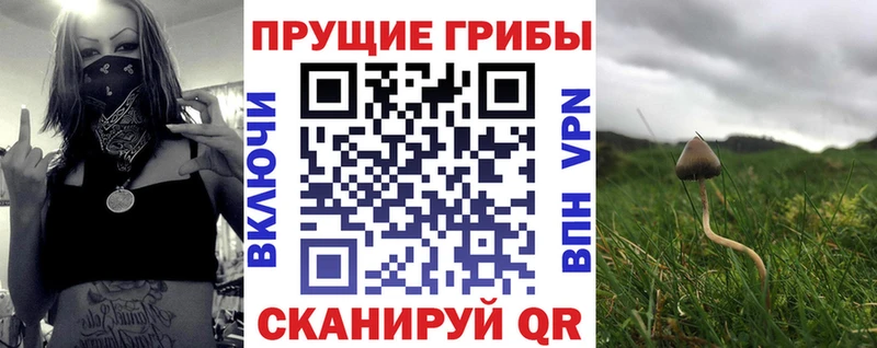 Галлюциногенные грибы Magic Shrooms  Котово 